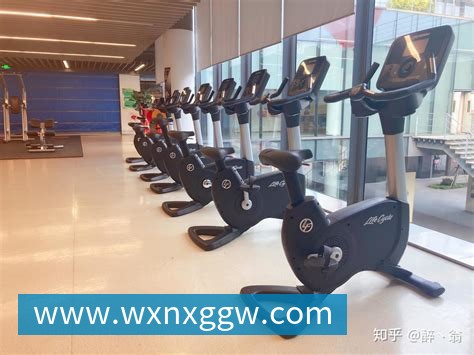 意甲球员月薪排行榜揭晓弗拉霍维奇高居榜首劳塔罗紧随其后